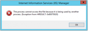 IIS Error